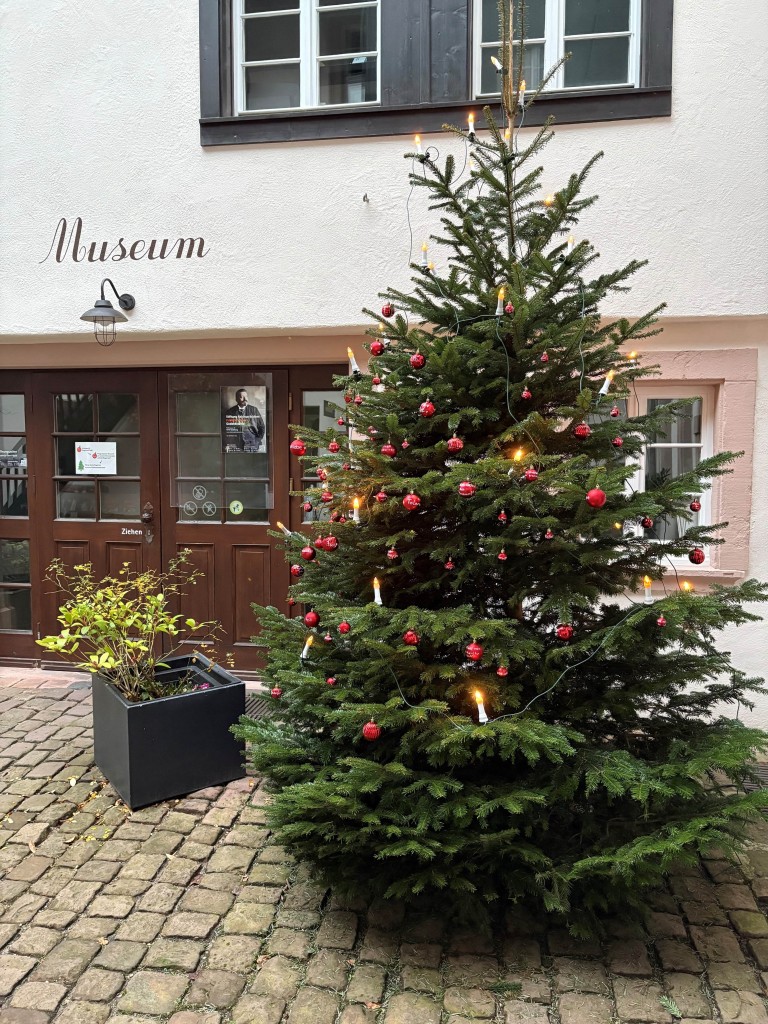Weihnachtsbaum im Innenhof des Friedrich-Ebert-Hauses